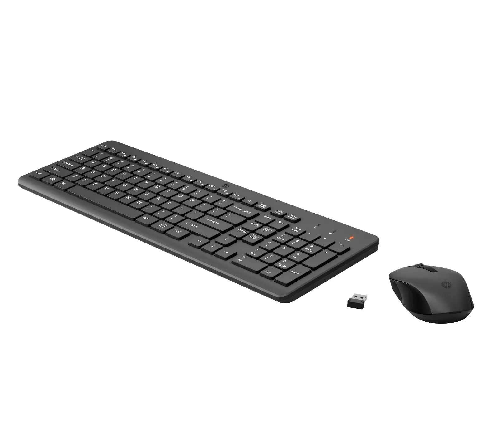 HP 300 Wireless Mouse and Combination keyboard