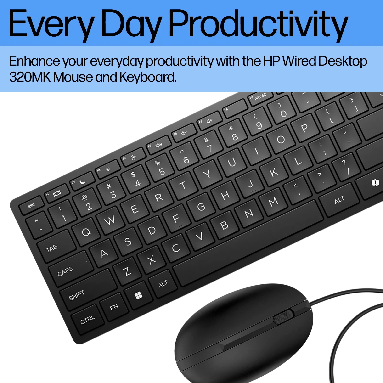 HP Wired Desktop 320MK Mouse and keyboard