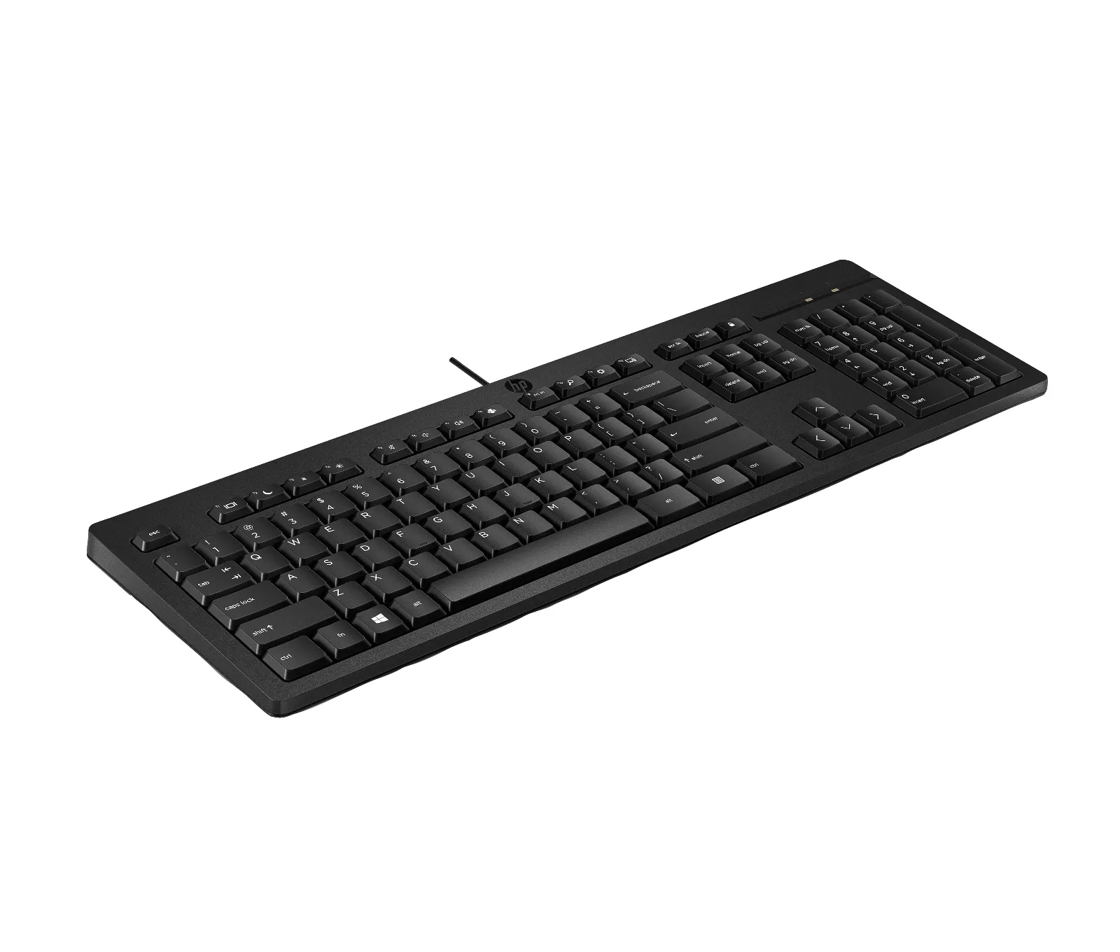 HP 125 Wired Keyboard, right side view